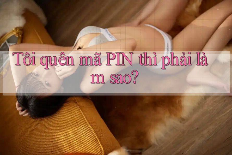 Tôi quên mã PIN thì phải làm sao?
